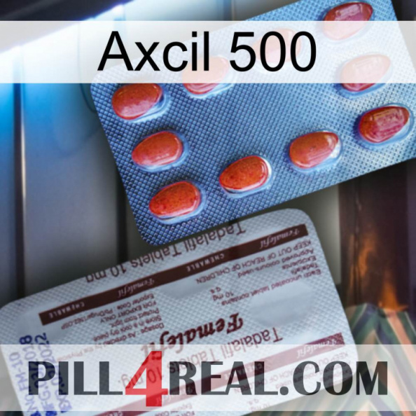 Axcil 500 36.jpg